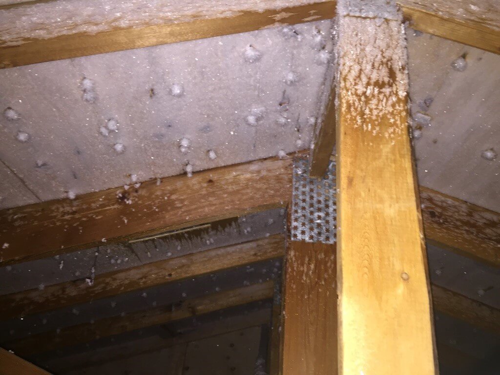 attic frost