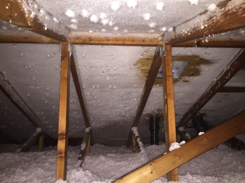 attic frost2